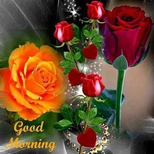 Meet your Posher, Monique